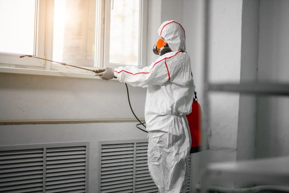 Professional mold remediation services in Minotola, NJ